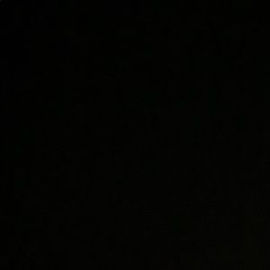 Meet your Posher, Savannah